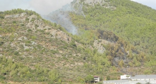 Mersin’de 10 Hektar Kızılçam Ormanı Yandı