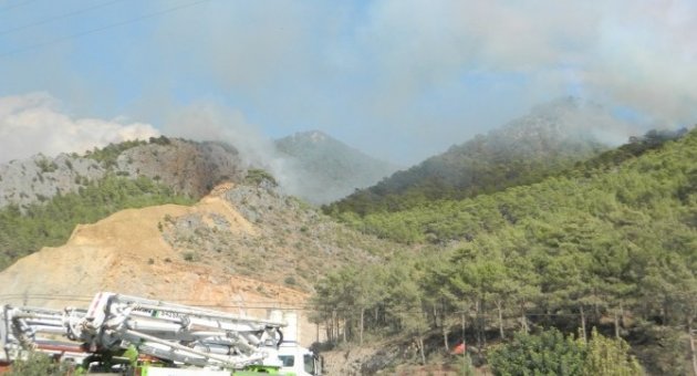 Mersin’de Orman Yangını
