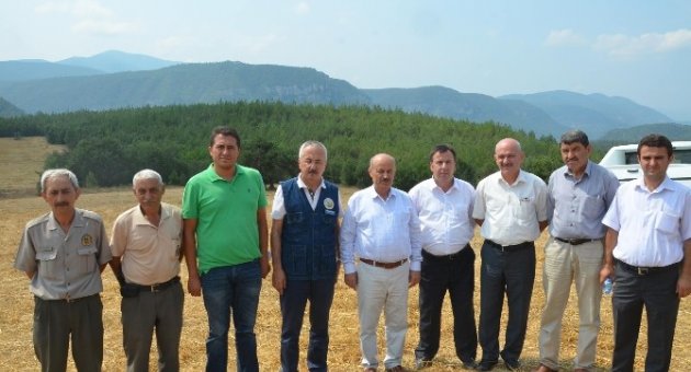 Milletvekili Kahveci, Orman Yangını Çıkan Bölgede İncelemelerde Bulundu