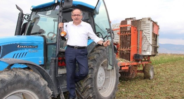 Milletvekili Traktör Sürdü, Pancar Hasadı Yaptı