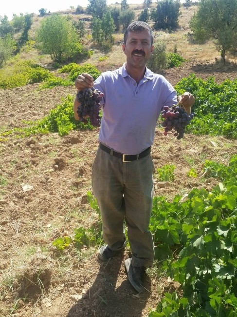Mühendislerin Tavsiyesini Dinledi, 10 Yıl Sonra Bağından Verim Aldı