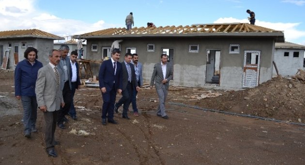 Muş’ta Hayvan Barınağı Yapımı