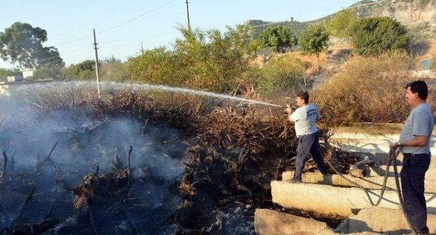 Odunluk Alanda Çıkan Yangın Korkuttu