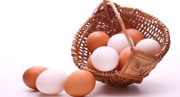 Ordu’da Yumurta Üreticileri ‘Birlik‘ Olacak