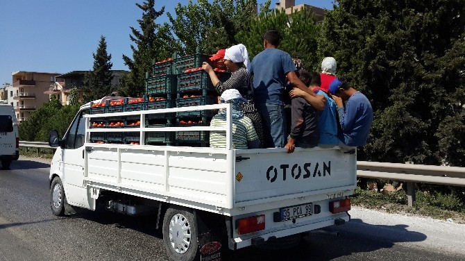 (Özel) Açık Kasa Kamyonetin Kasasındaki İşçiler Ölüme Sürüklendi