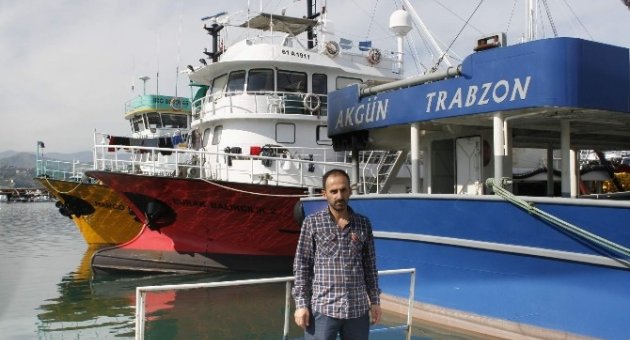 Palamut Olmayınca Hamsiye Yöneldiler
