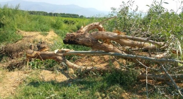 Sarıkız Deresinde Islah Çalışmaları Sürüyor