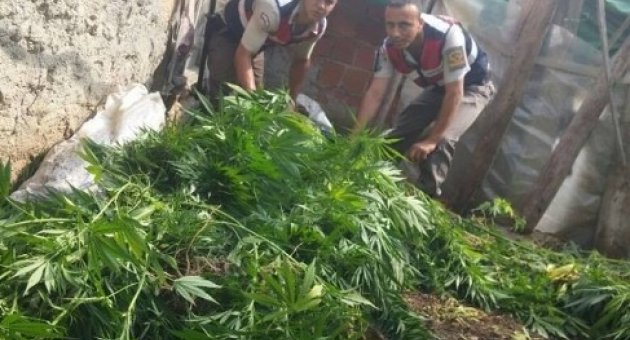 Seydikemer’de 10 Kilo Esrar Yakalandı