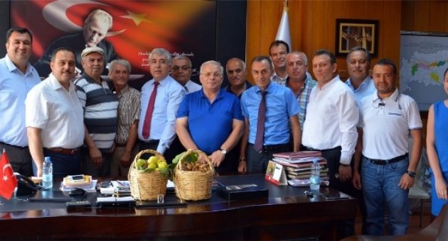 Sezonun İlk Kuru İnciri Sembolik Olarak Satışa Sunuldu