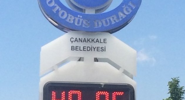 Sıcaklar İnsanları Da, Hayvanları Da Bunalttı