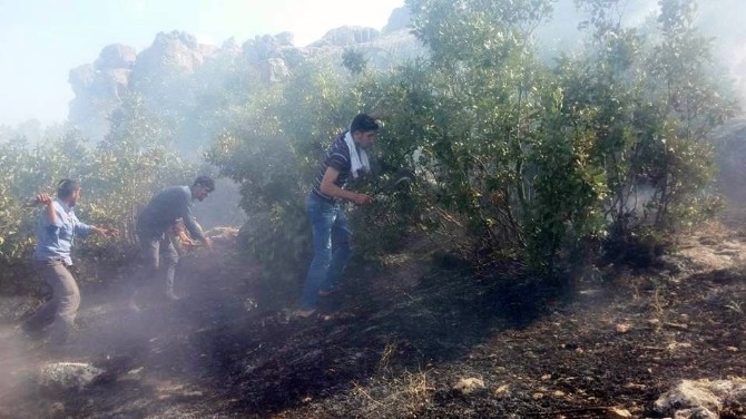 Silvan’da 6 Altı Köyde Yangın Çıktı