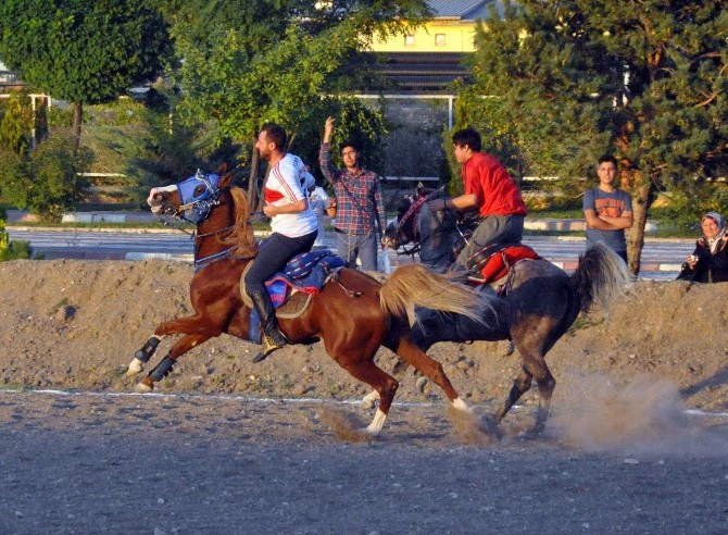 Sivas’ta Atlı Cirit Gösterisi Nefes Kesti