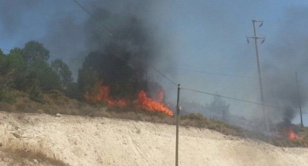 Tatil Villalarının Bulunduğu Alanda Yürekleri Ağza Getiren Yangın