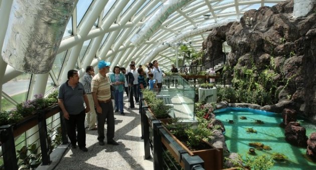 Tropikal Kelebek Bahçesi Bayramın 3. Günü Açık Olacak