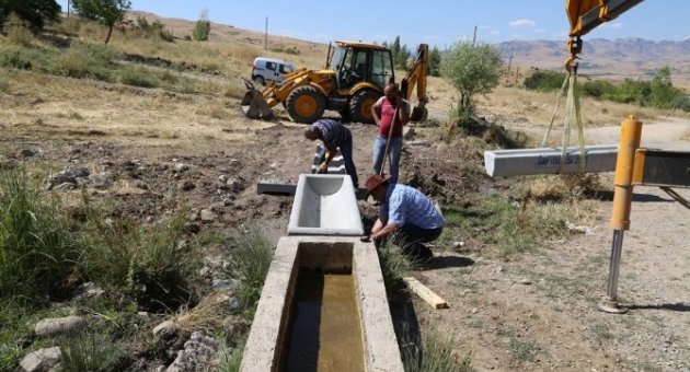 Tunceli İl Özel İdaresinden Hayvancılığa Destek