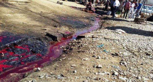 Vanlı Kasaplardan Hayvan Pazarındaki Görüntüye Tepki