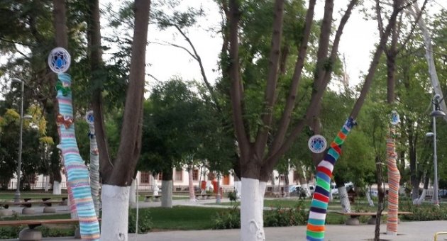 Vilayet Parkında Ağaçlar Bayramlıklarını Erken Giydi