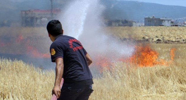 Yangınların Yüzde 36’sı İzmaritten Çıktı