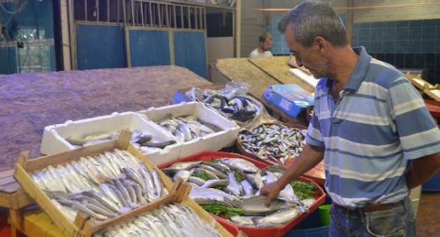 Yaz Sezonunda Balık Tezgahları Cılız Kaldı