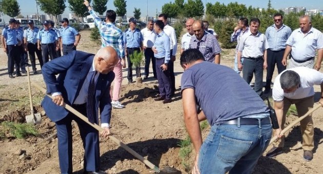 Yenimahalle’den Zabıtalar İçin Hatıra Ormanı