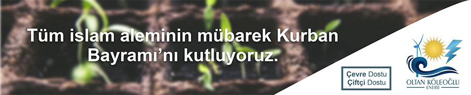Reklam
